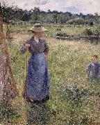 Camille Pissarro The Tedder oil on canvas